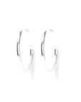 Boucles d'oreilles 1494