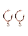 Earrings 1501