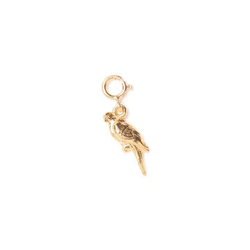 Parrot Charm